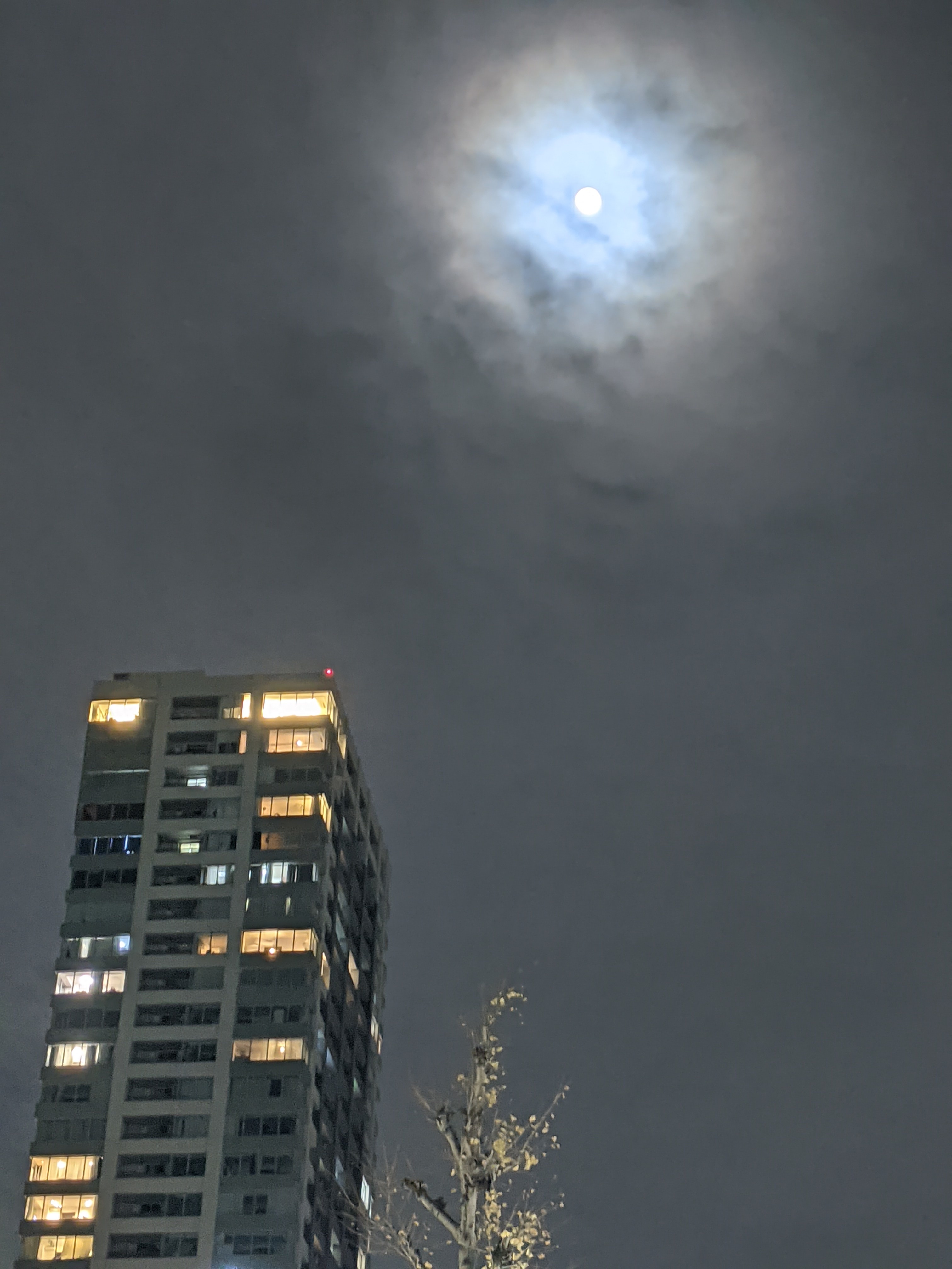 PXL_20201229_103506508.NIGHT