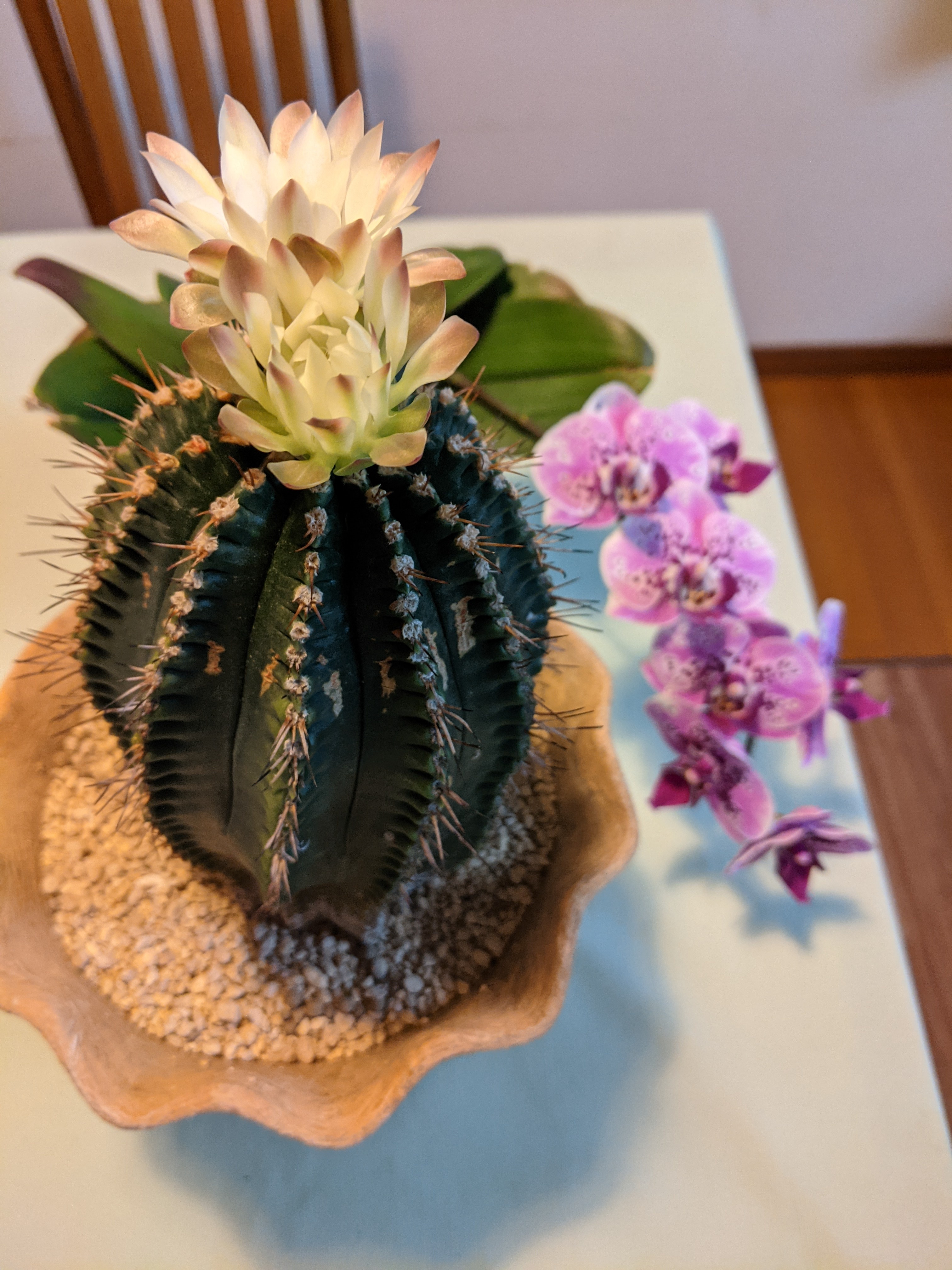 PXL_20210514_095324090