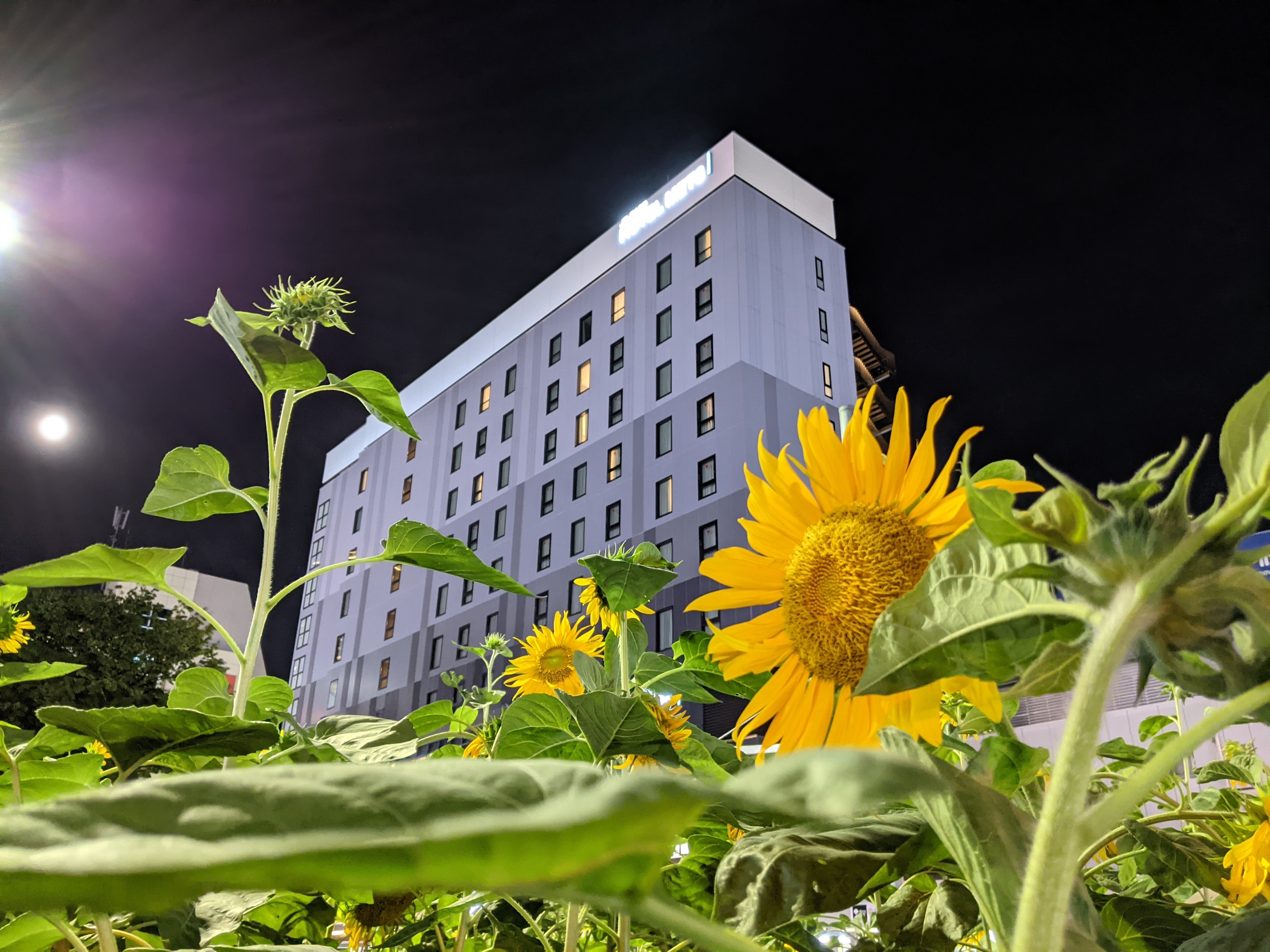 PXL_20210819_102936308.NIGHT