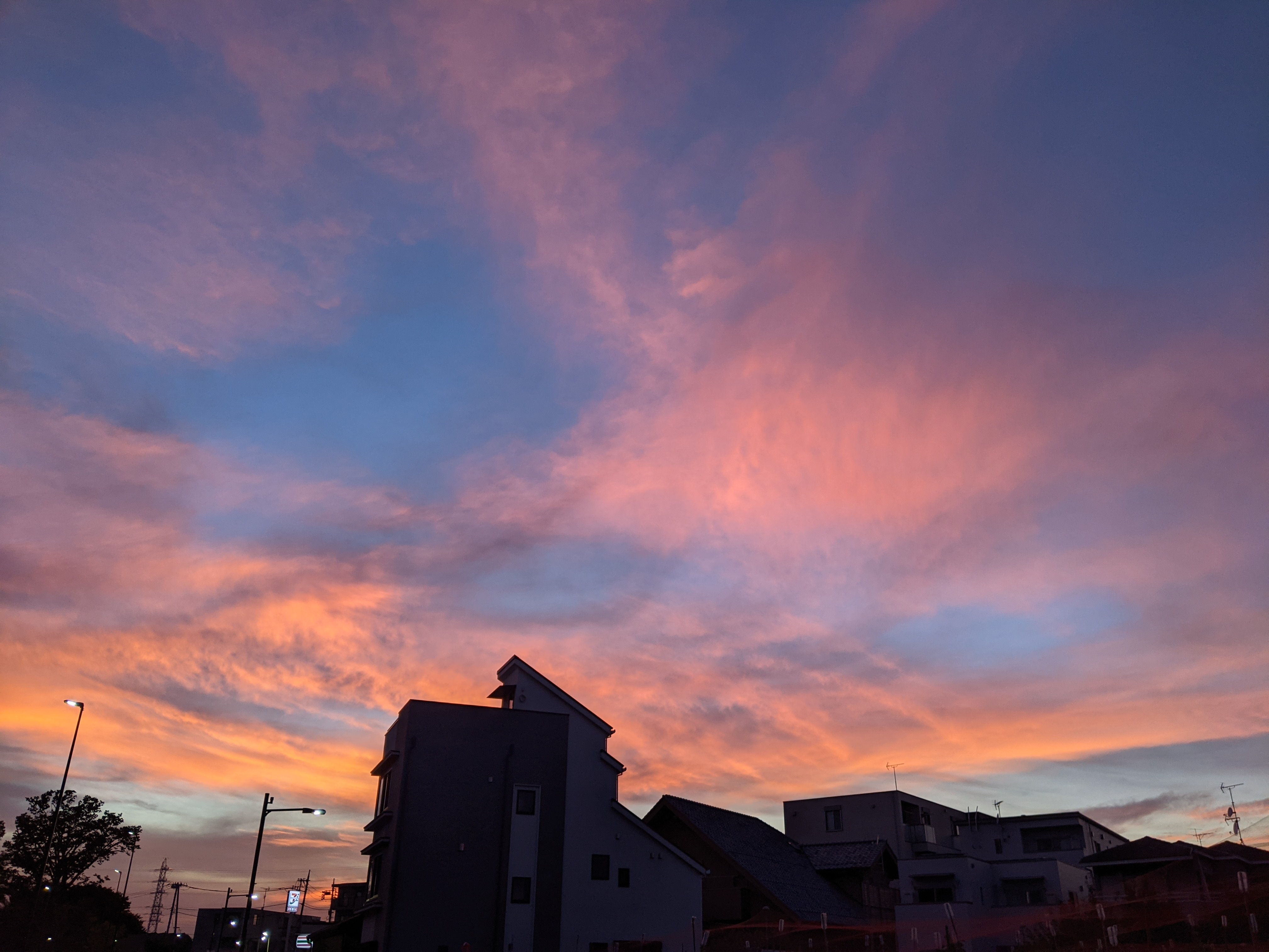 PXL_20210805_095508192