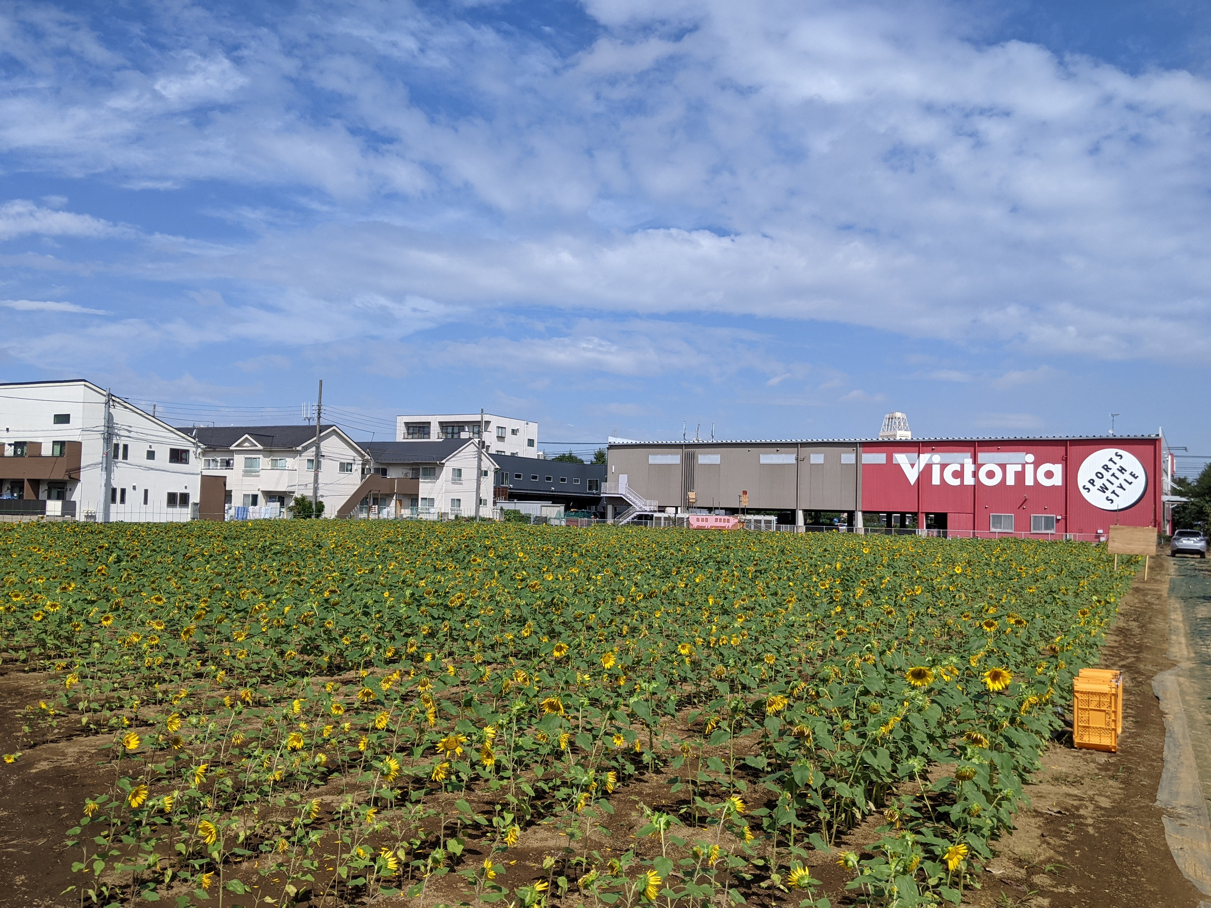 PXL_20210922_012654841