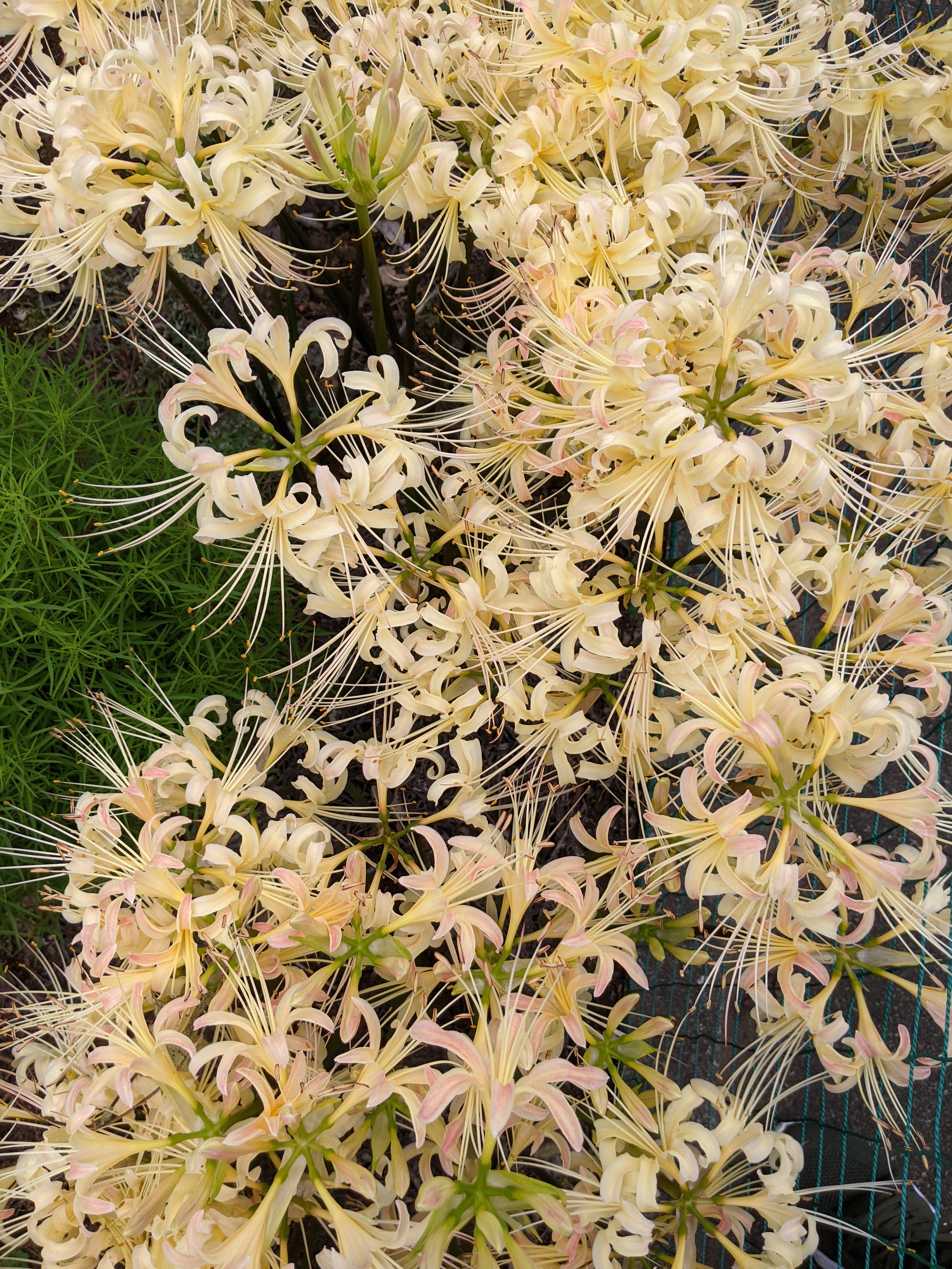 PXL_20210916_235404087