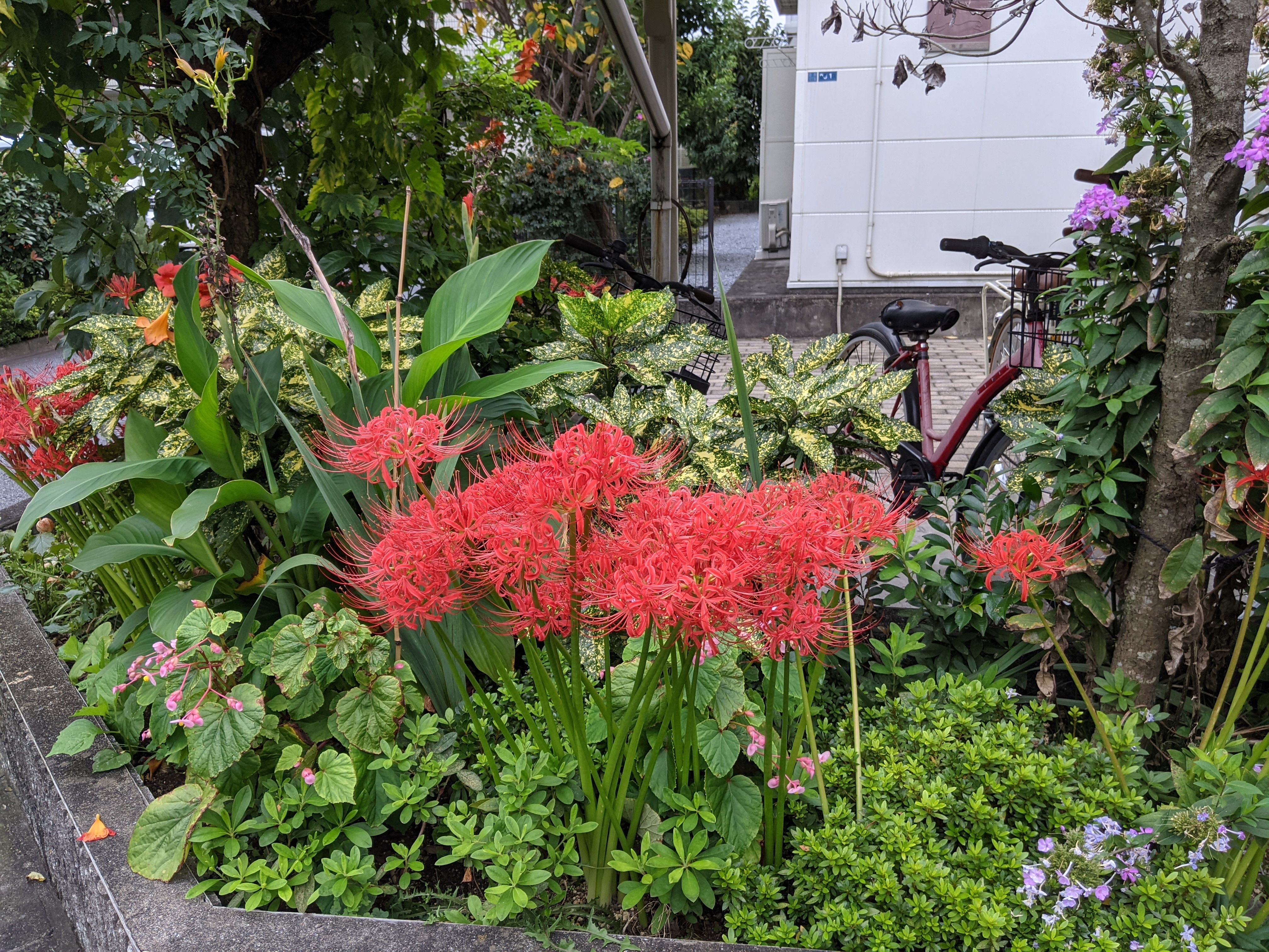 PXL_20210917_004324307