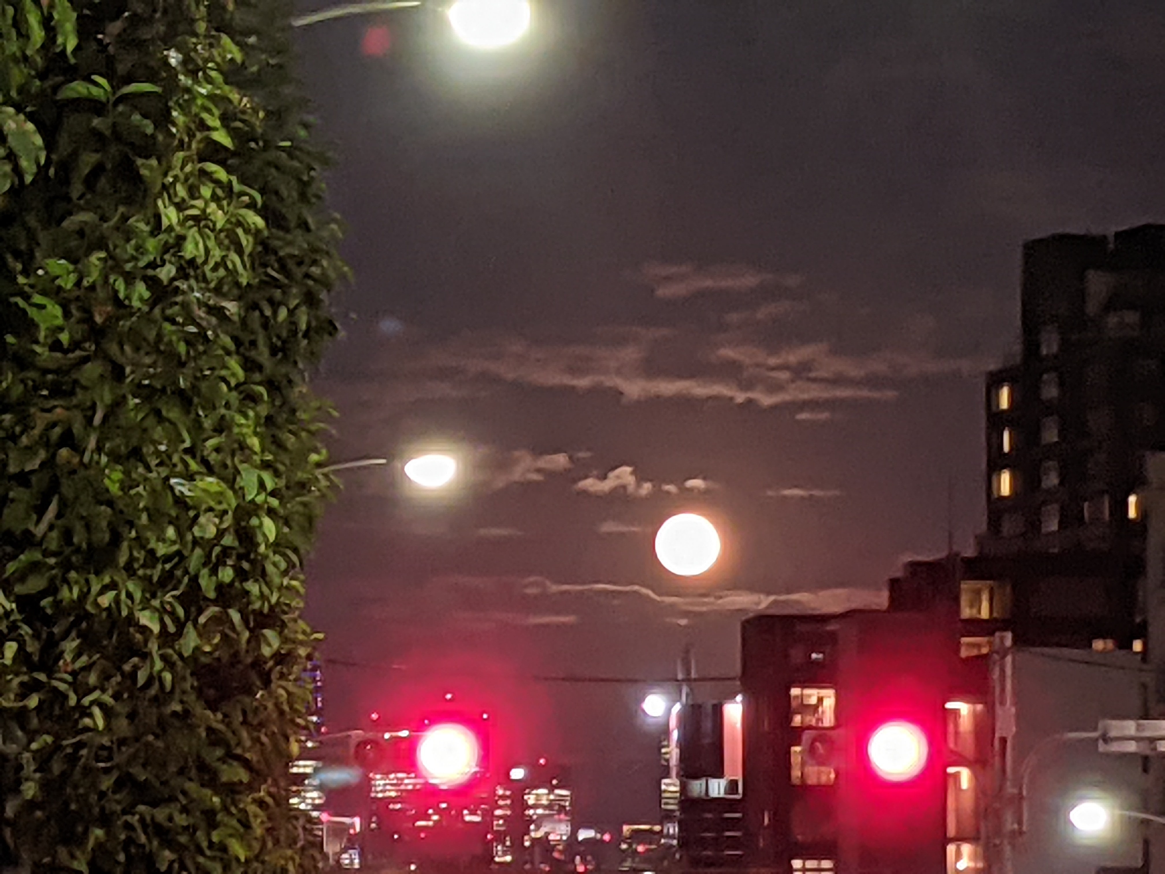 PXL_20210921_092942214.MP