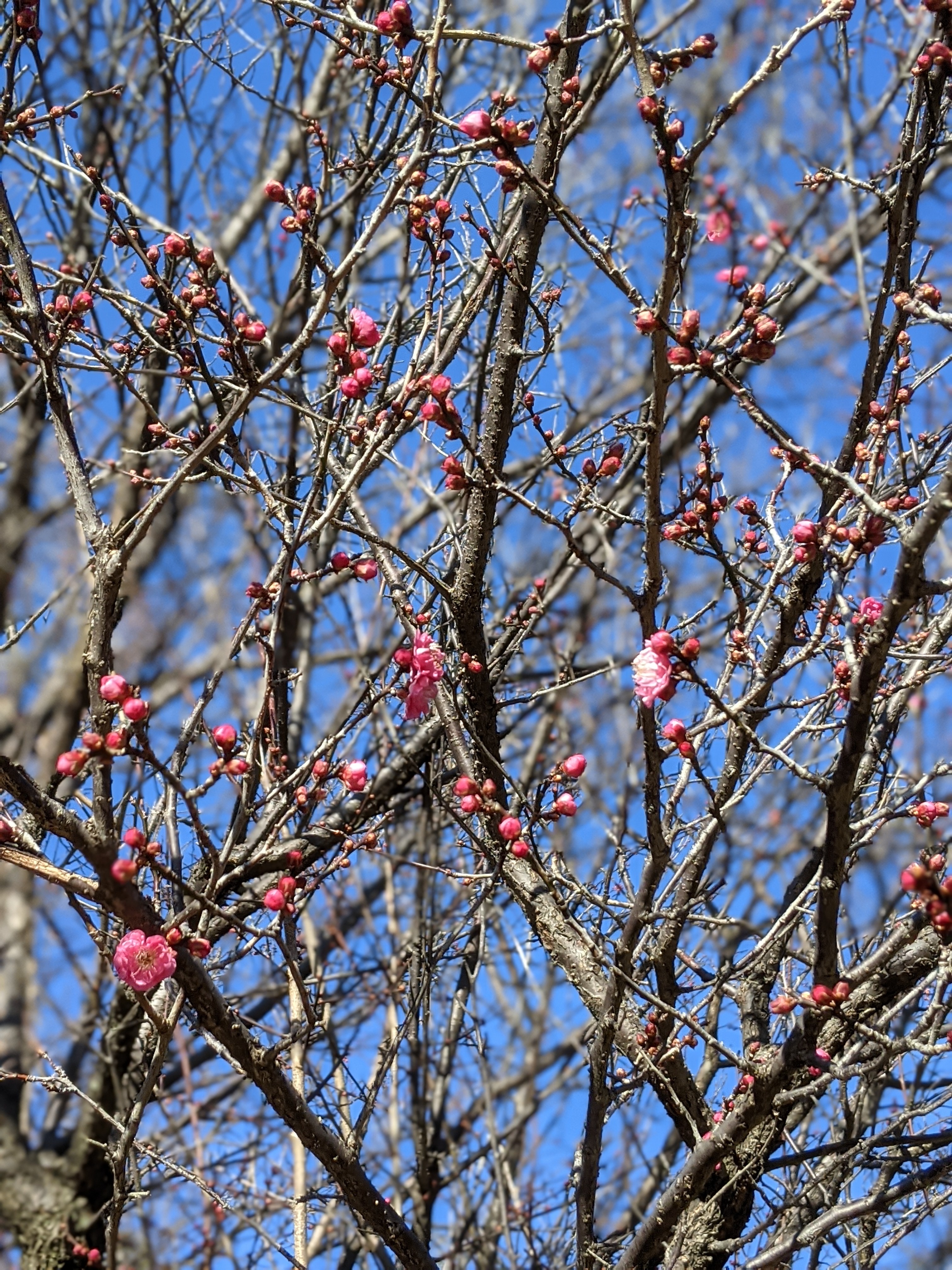 PXL_20211230_005715610.PORTRAIT