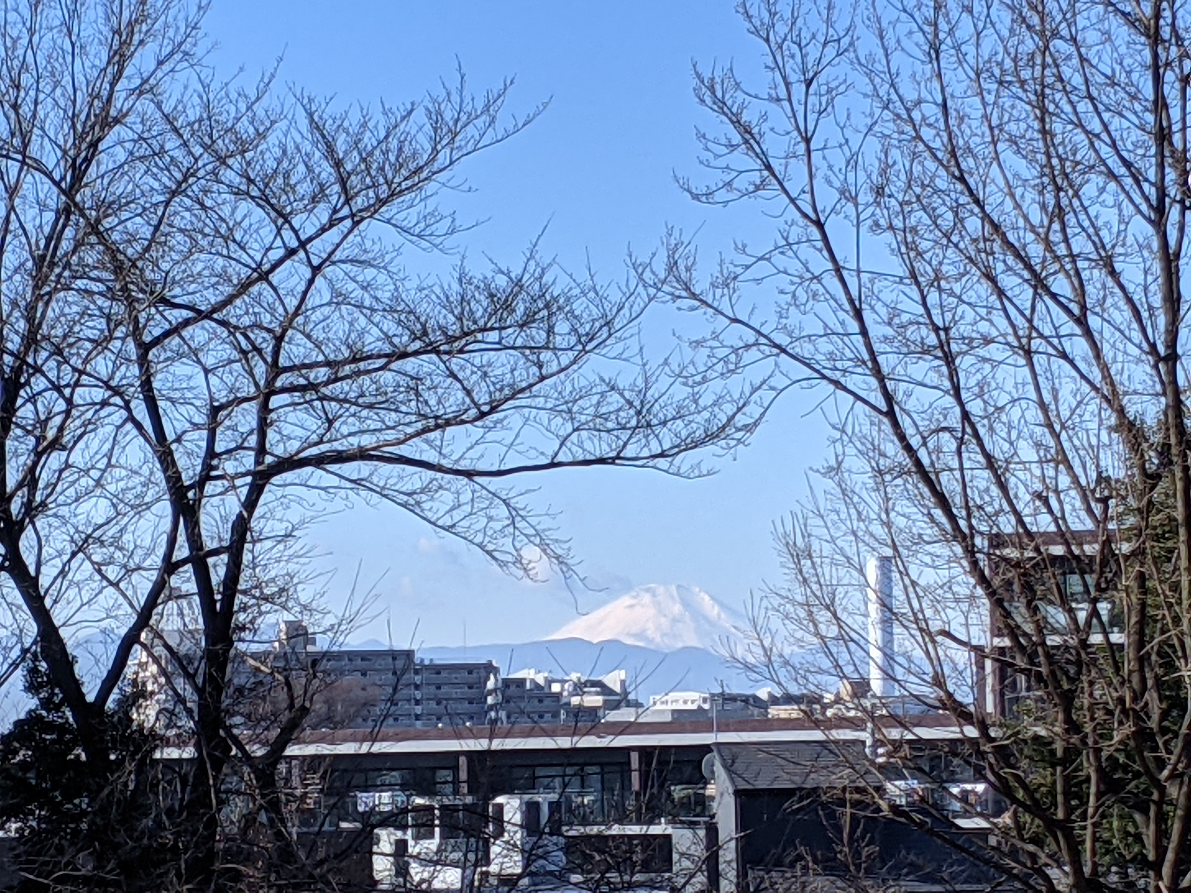 PXL_20211230_005931700